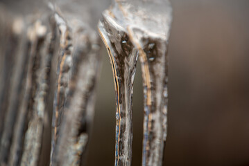 dangling icicle in daylight natural light - obrazy, fototapety, plakaty