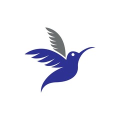 Colibri bird logo images