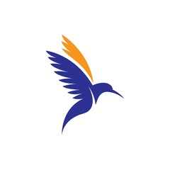 Colibri bird logo images
