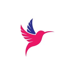 Colibri bird logo images