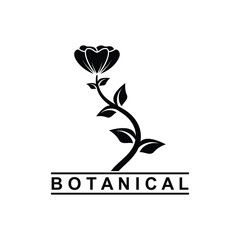 botanical logo illustration for beauty natural organic brand