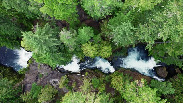 Aerial top down view of mountain river with waterfalls in the green forest. Oregon, United States