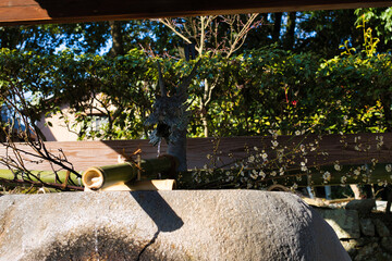 生駒市　龍田大社　風景