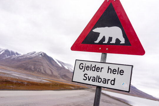 Signpost Warning Drivers To Beware Of Polar Bears Crossing The Road
