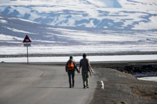 Couple with dog walking along road, Longyearbyen, Svalbard and Jan Mayen, Norway