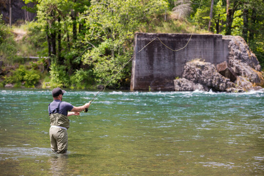 Fly fisherman casting to rising fish in the Summer along the McKenzie River in Oregon. The McKenzie is known for it's unique strand of native redside rainbow trout living in clear 