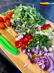 Salad greens tomatoes basil onions raddish on cutting board