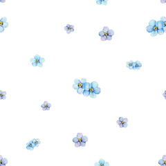 Watercolor seamless pattern of blue forget-me-nots. Hand painted illustration with summer flowers isolated on white background