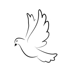 Flying pigeon. Symbol of world. Pigeon. Symbol of love, freedom. Dove.