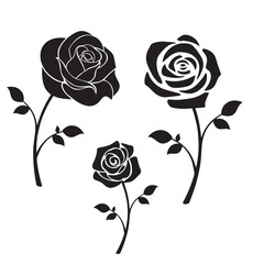 Rose black silhouette Vector Set