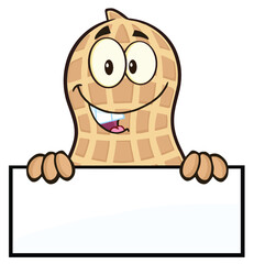 Peanut Cartoon Character Holding a Blank Sign. Hand Drawn Illustration Isolated On Transparent Background