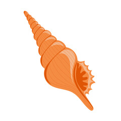 Hand drawn seashell. Shellfish. Marine dwellers. Concept of sea and ocean life. Vector illustration