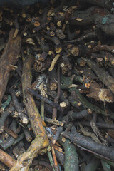 small dry branches in the firewood