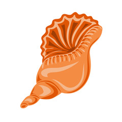 Hand drawn seashell. Shellfish. Marine dwellers. Concept of sea and ocean life. Vector illustration