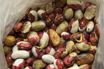 beans spoiled by improper storage of beetle infestation