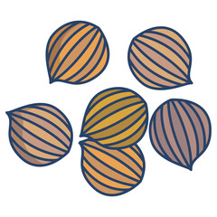 Coriander icon