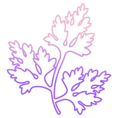 Naklejka premium Parsley icon