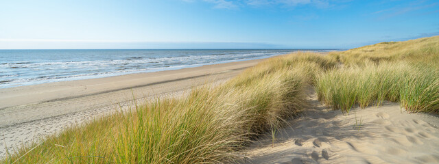 Panoramic landscape background banner panorama of sand dune, beach and ocean North Sea with blue sky.