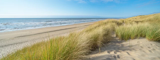 Poster Panoramic landscape background banner panorama of sand dune, beach and ocean North Sea with blue sky.