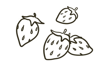 おしゃれな苺の線画イラスト
