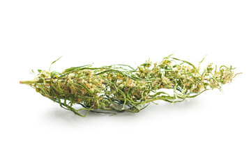 Dried cannabis buds. Dried marijuana isolated on white background.