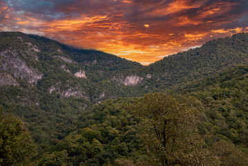 Mountains and forests of Abkhazia.