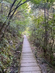 Obraz premium Mountain Olympus Greece Pathway Landscape