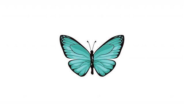 beauty blue butterfly insect flying animation