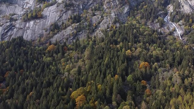 Wood in the alpine valley of Val di Mello, Sondrio