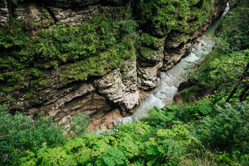 the river flows into the rocks in the forest among the trees hiking journey tourism