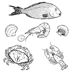sea ​​life set, contour