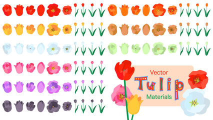 9色のチューリップの花の素材。フラットなベクターイラストセット。
9 colors tulip materials. Flat designed vector illustration set.