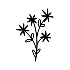 Hand drawn sketch flower isolated on white background. Simple doodle style.