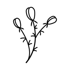 Hand drawn sketch flower isolated on white background. Simple doodle style.