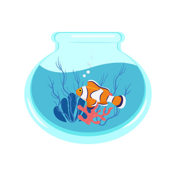 orange clownfish swimming in fishbowl clip art preview
