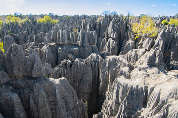 Tsingy de Bemaraha National Park. The Great Tsingy, Bekopaka, Madagascar. View of the limestone sharp rocks.