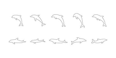 Nautical Dolphin. Sea Underwater animal. Vector illustration