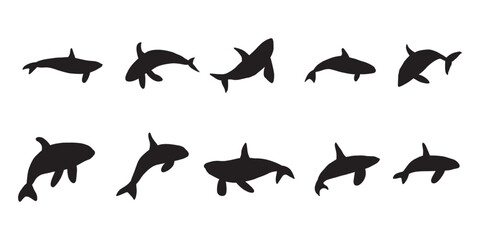 Obraz premium Orca whales. Sea animal killer whales. Marine animal in Scandinavian style.