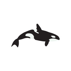 Orca whales. Sea animal killer whales. Marine animal in Scandinavian style.