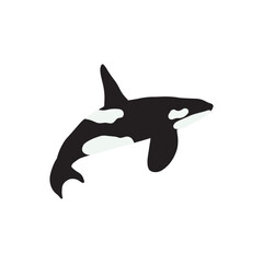 Orca whales. Sea animal killer whales. Marine animal in Scandinavian style.