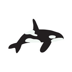 Orca whales. Sea animal killer whales. Marine animal in Scandinavian style.