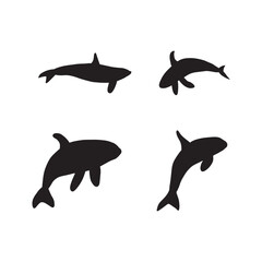 Orca whales. Sea animal killer whales. Marine animal in Scandinavian style.