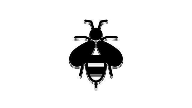 Black Bee icon isolated on white background. Sweet natural food. Honeybee or apis with wings symbol. Flying insect. 4K Video motion graphic animation