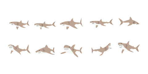 Shark. Sea animal. Marine animal in Scandinavian style.
