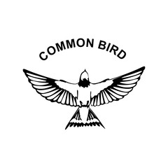 Bird logo design. Flying Common bird emblem isolated on white background. minimal logo design. Vector illustration