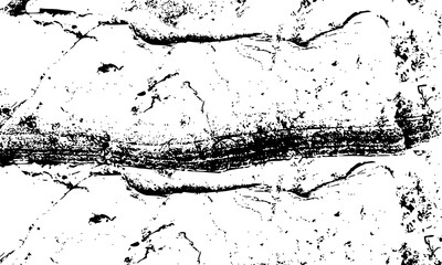 Grunge Background.  Black and white color. Abstract monochrome vector texture. 