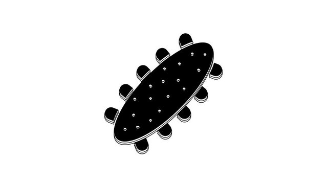 Black Sea cucumber icon isolated on white background. Marine food. 4K Video motion graphic animation