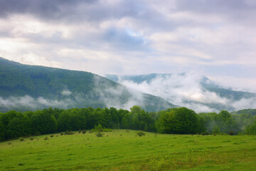 countryside mountain landscape. green meadows and forested hills in spring. misty morning with overcast sky