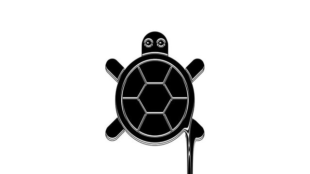 Black Turtle icon isolated on white background. 4K Video motion graphic animation