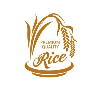 Organic rice farm, agriculture company icon